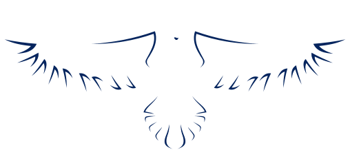 Alert Security Services